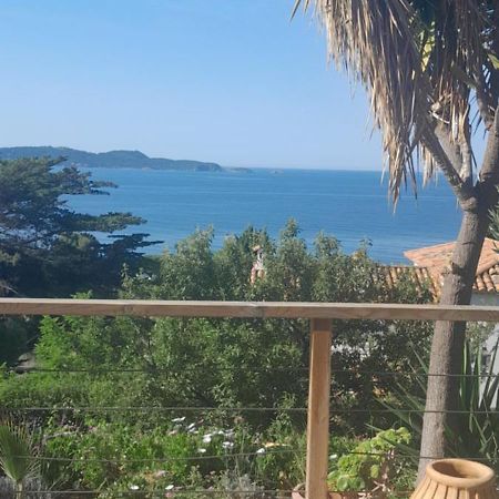 F3 Rdc Villa Vue Mer 180 Face A La Pointe De Giens 카르쿠에이란느 외부 사진